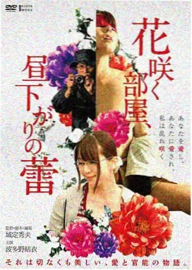 雾港谜案剧集封面